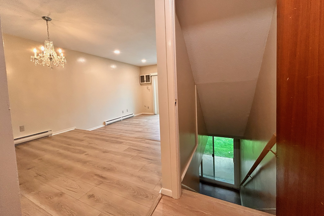 The first floor leads to a finished basement - HUGE Luxury Renovated Condo – Steps from UConn, Pool + Washer/Dryer