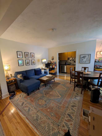 Living Room - August 1! Gorgeous and spacious 1 bed on Strathmore Rd, close to the T and shuttle Condo