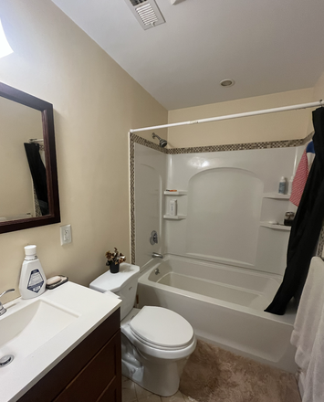 Bathroom - 2 Bed/2 Bath - 1 Person Sublet for Summer 2026 Apartments