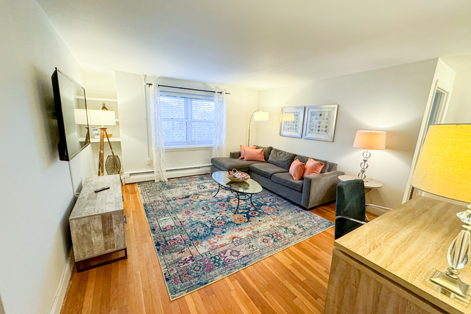 Living Room - CHE916 |  Sun-filled 2BR, In-Unit Laundry, Near T & Medical Area Apartments