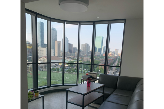 Living Room - Lightview - Subletting Single Bedroom in 4 Bed 2 Bath Apartment