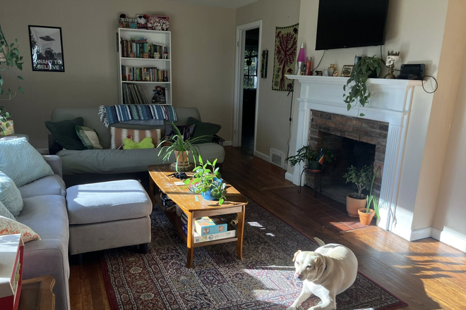 Living room - Room for rent in Amherst, $715