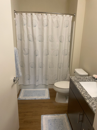 Private bathroom inside bedroom - APARTMENT SPRING SUBLET CLOSE TO CAMPUS!!
