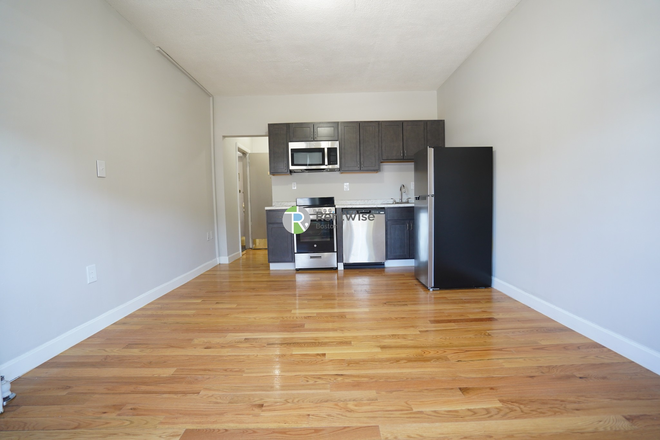 1 - OCT 2026 | Awesome Packards Corner Studio | H/HW inc. | Cats Ok | NO FEE! Apartments