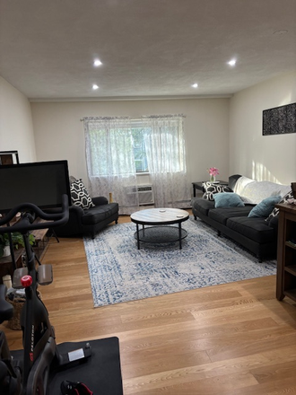 Living Room/ Dining Space - $2,772 / 1br - Entire 1bd/1bth in Coolidge Corner- available Nov 1, NO FEES!