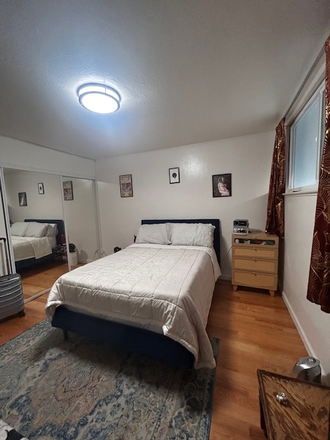 bedroom - Room for rent close to USF