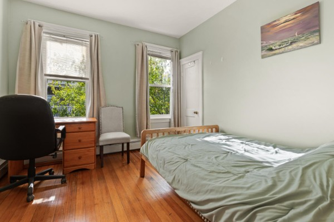 Possibly available bedroom - Apartment close to Harvard College campus!