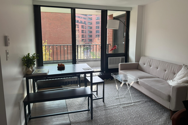 Living room - Soldiers Field Park Modern 3b Furnished Apartment