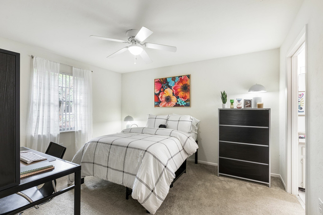 Room - Room for Female Roommate at Oxford Manor Apartments