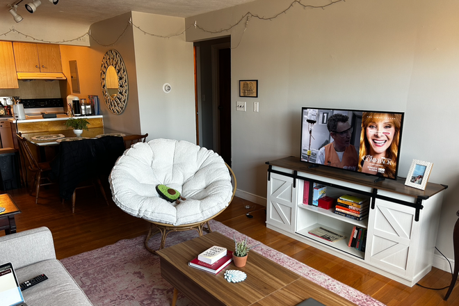 Living room - Apartment off Allston Street, about 2 miles from BC's campus