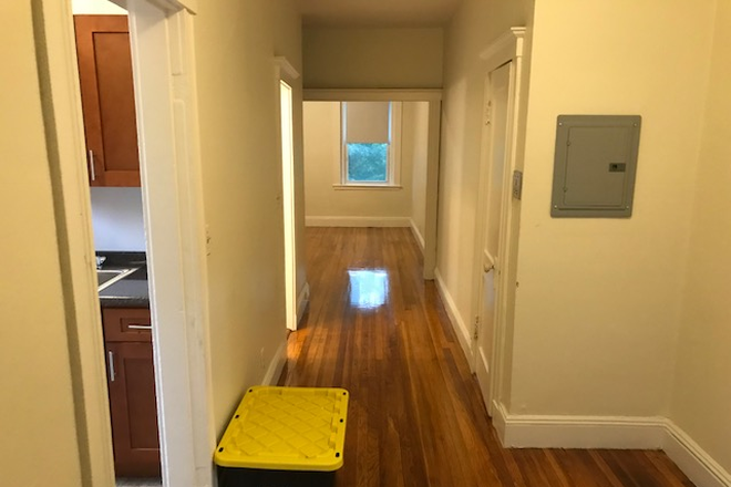 Call NOW for showings! 617-236-8600 - EGREMONT RD - *NO FEE* TRUE 2BR BY MBTA B, C, & D TRAIN AVAIL *9/1/2025* W/ H&HW INC, LNDRY IN BLDNG Apartments