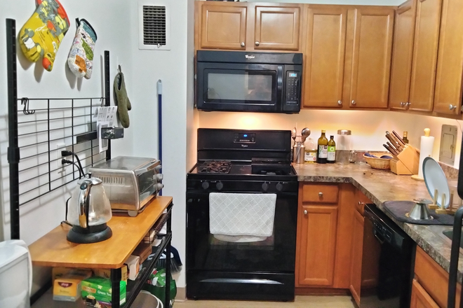 Full-size Kitchen - Sunny, spacious, quiet, furnished 1-BR in great location Apartments
