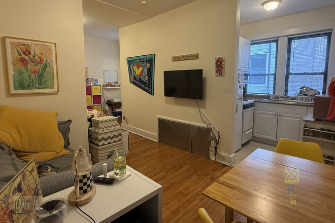 living area - Sunny North Brookline studio available 9/1 - Landlord pays the fee