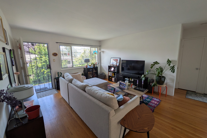 Living room - Lovely 2-bedroom with direct lines to all over the Bay, close to Berkeley Bowl West
