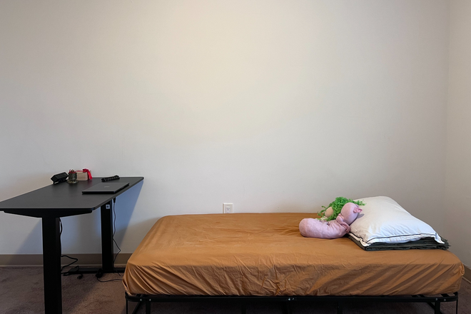 Bedroom - Furnished Private Room, 2B1B Beacon St Somerville, $1500 all inclusive, May–July, LGBTQ+ friendly Apartments