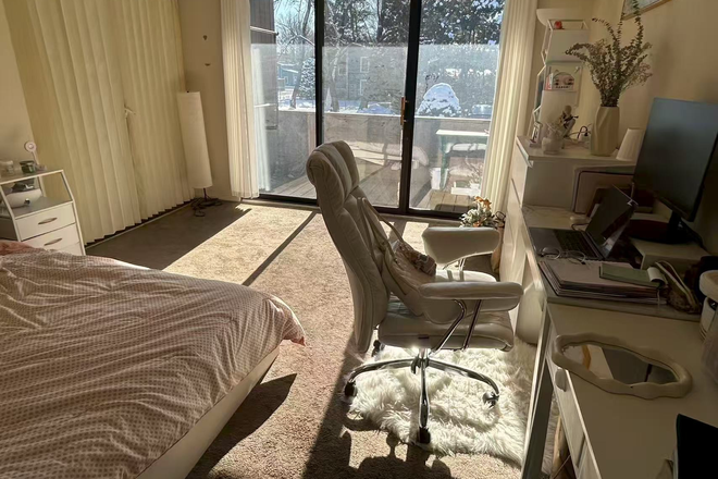 Living room - Female Roommate Wanted – UMass Amherst