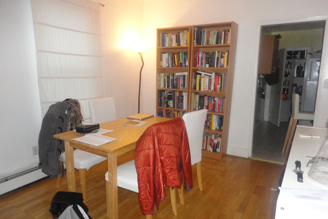 living room - Furnished 2 bedroom apartment near Harvard and Inman Square