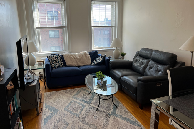 living room - Sunny Brighton 2 bed for June 1 - NO FEE! Apartments