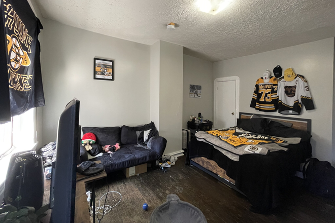 living space - Bright and Sunny Studio / 1 bath w/ Heat and Hot Water inclu. Avail. 3/1/25!! Apartments