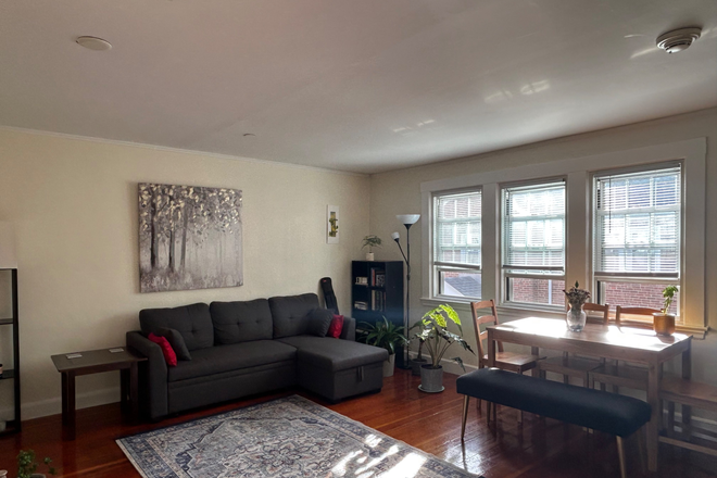 Living Room - Cozy 1 Bed / 1 Bath Apartment Near Harvard Square, Winter Sublet