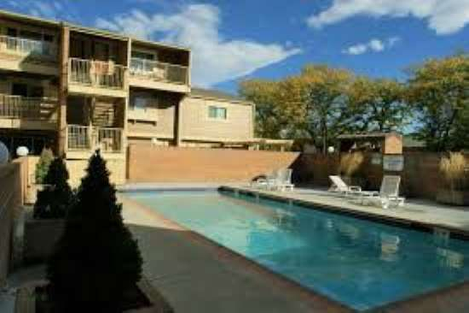 Pool - Wimbledon Condominiums
