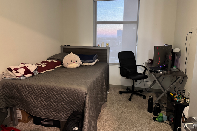 Bedroom [shark not included] - ion-College Station Apartments