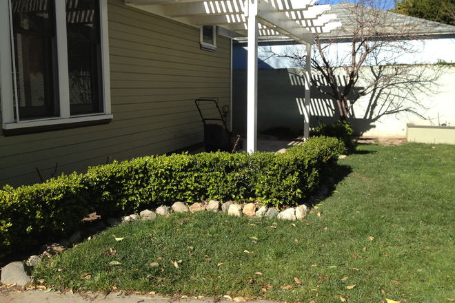 portion of back yard - Beautiful 5 br, 3ba Historic Home with character just steps from campus