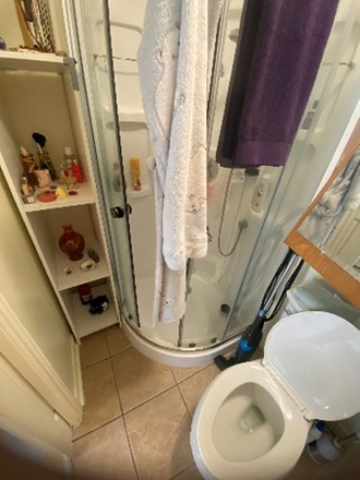 Bathroom - Bachelor Near Athletic Centre for Rent