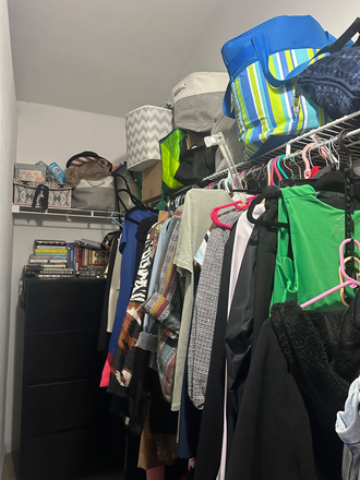 Closet - Museum Walk Apartments