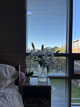 Large windows and a lot of natural light - Sidney-Pacific Graduate Housing Apartments
