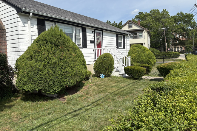 Front yard/front of house - 4 bedroom home with huge fenced in backyard and basement near public trans, with parking