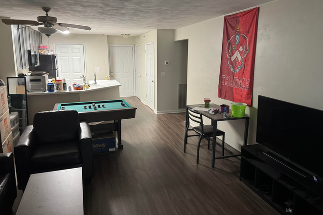 living room - Alight Blacksburg, Close to TCR, UCB, PRG