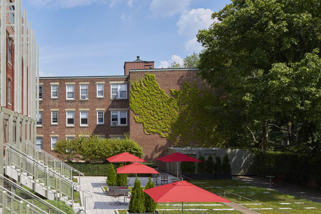 Common Area - Harvard Housing Sublet - Cozy Corner Studio, utilities included, Walk to Campus Apartments