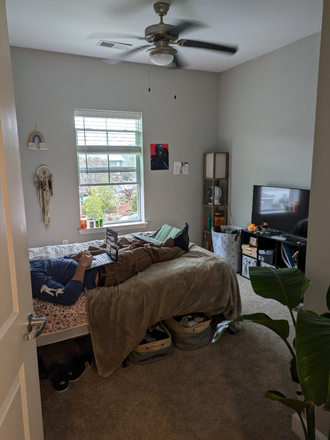 Bedroom - Peak of Boone, room in 3 bedroom apartment unit (willing to cover $300 month))