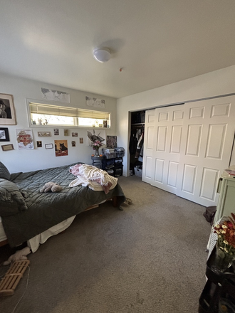 Bedroom, massive closet and great windows! - Spring Sublet- Super close to campus! Price and start/end date are totally negotiable! House