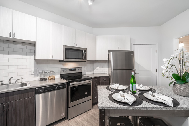 Kitchen - Unit 309 The Muinzer Building Apartments