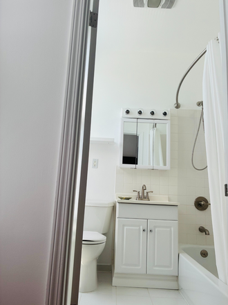 Bathroom- New Faucets-Curved Curtain Rod-Shower Curtain-New Mirror Vanity - UIC Medical District-Tritaylor-West Campus Apartments
