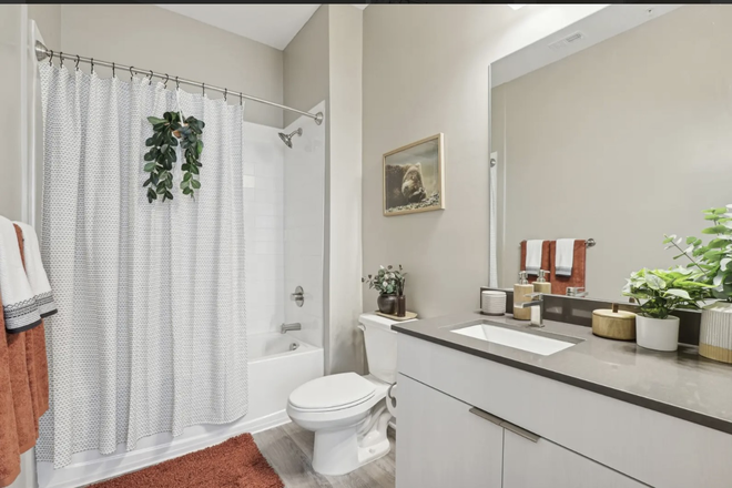 Bathroom - The Metropolitan Tampa Apartments