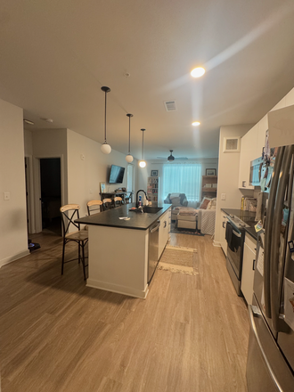 kitchen and living area from front door - Apartment close to MUSC downtown