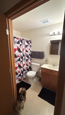 Bathroom (2 bathrooms in unit, this will be yours) - Southern Winds Apartments