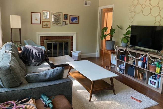 Living room - Beautiful Home in Gorgeous Forest Hills Neighborhood!