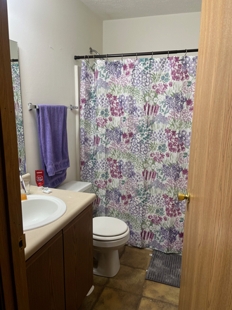 Bathroom - Room for rent in 2BR, 2BA in Winfield Farms Apartments