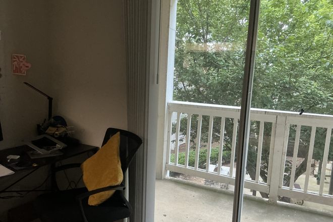 Patio view - Briarhill Apartment