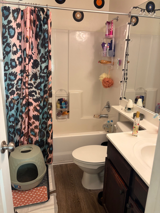 Bathroom - Aspire 349 Apartments