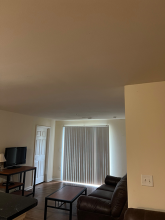 Living Room/ Shared Space - 1 ensuite room in 4BR/4BA Eagles Landing condo, all-male unit (2026-2027) move in as soon as May 1