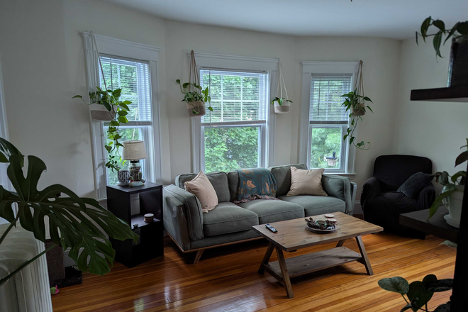 Living Room, all furnishings in photo are staying - 2 Bed/2 Bath Apt in Arlington, MA, Starting July 1