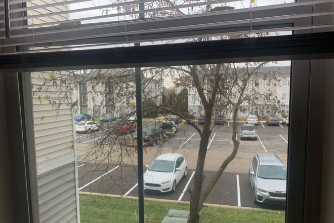 Window view of parking lot - The Village at Chandler Crossings