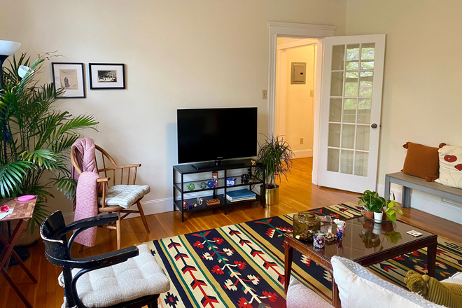 Living Room - Beautiful 1 Bedroom apt in Cambridge (Ware St.) Summer 2026