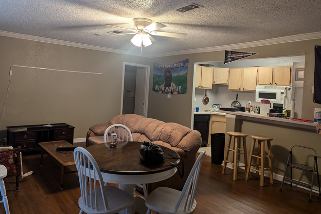 Living Room - Bedroom in 4 bedroom unit - Male roommates