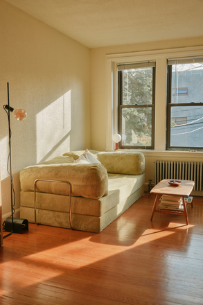 Living room couch - Spring-summer sublet: Spacious 1B apartment in the heart of Cambridge